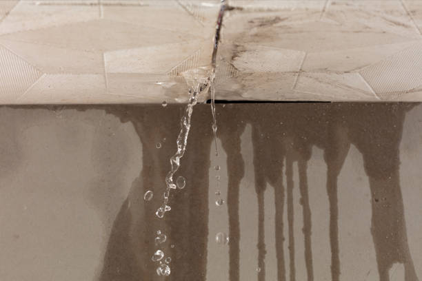 Professional Burst Pipe Cleanup technician working in Round Rock, TX